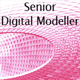 Senior Digital Modeller